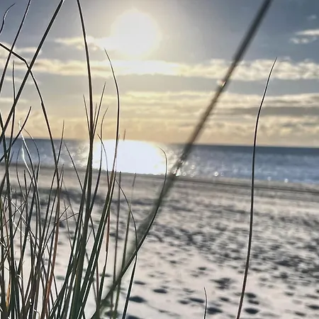 Berolina 408 - Sonnenplaetzchen Dahme (Schleswig-Holstein)